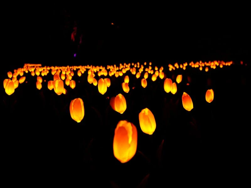 Lumni Gramado - Lanternas flutuantes douradas criando um espetáculo mágico no céu noturno